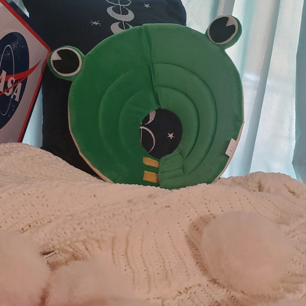 Frog small pet hat